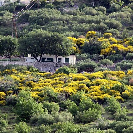 Villa " Davorka" Podgora Luaran gambar