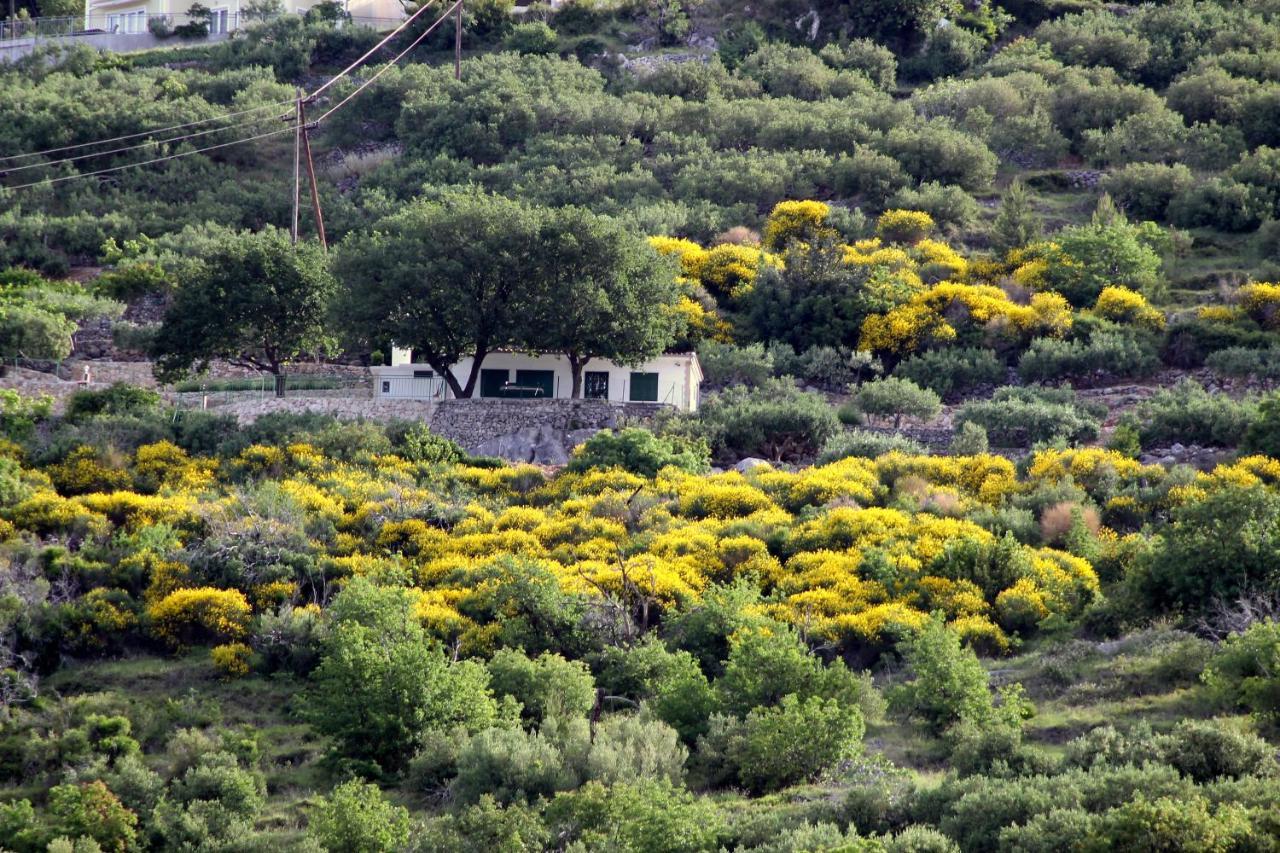 Villa " Davorka" Podgora Luaran gambar
