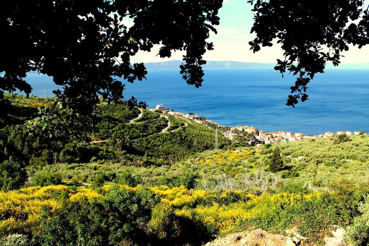Villa " Davorka" Podgora Luaran gambar