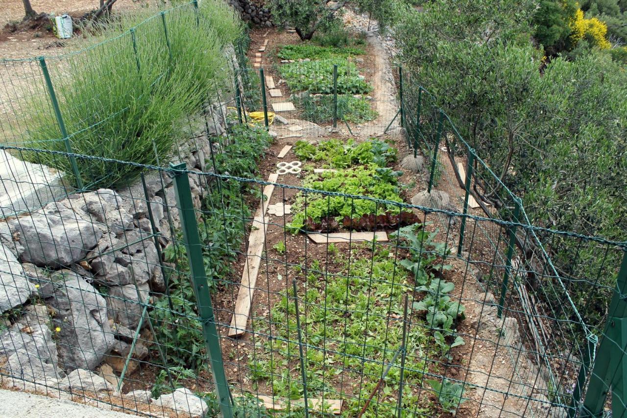 Villa " Davorka" Podgora Luaran gambar