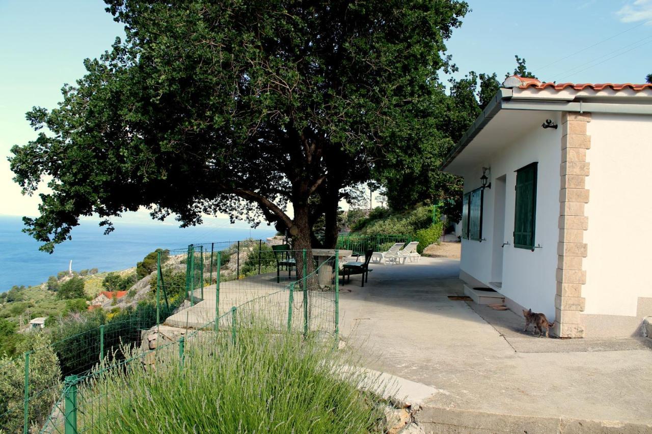 Villa " Davorka" Podgora Luaran gambar