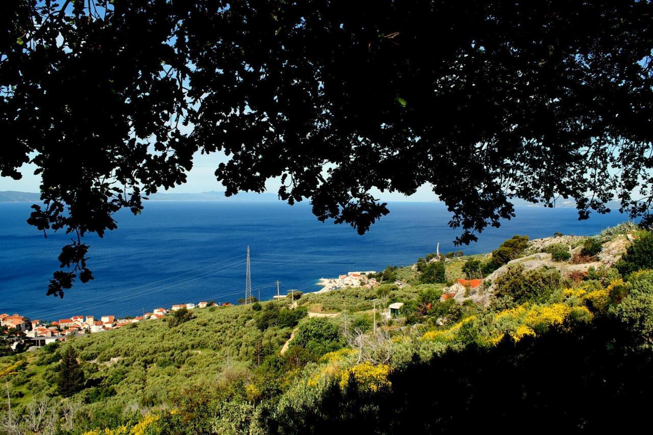 Villa " Davorka" Podgora Luaran gambar