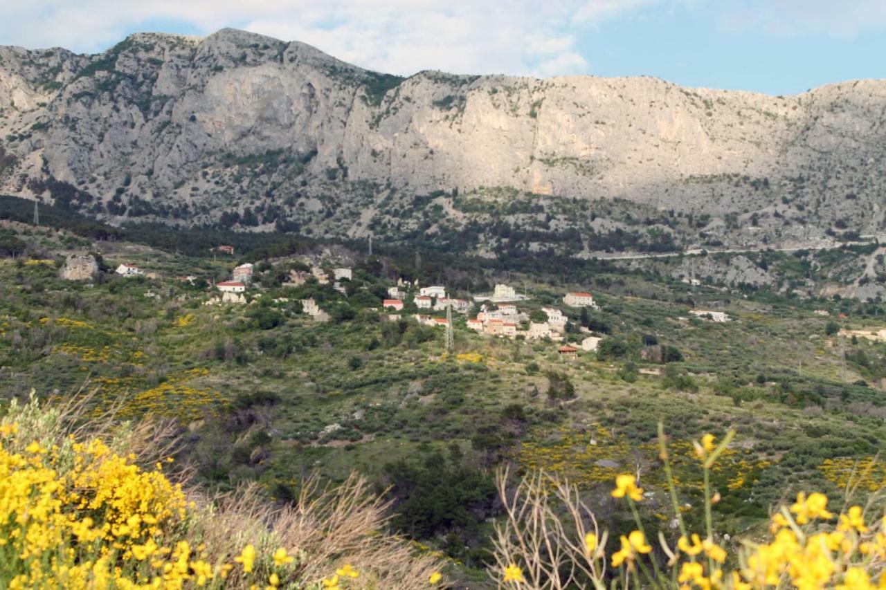 Villa " Davorka" Podgora Luaran gambar