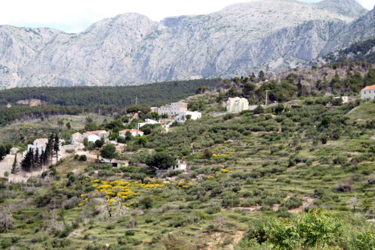 Villa " Davorka" Podgora Luaran gambar